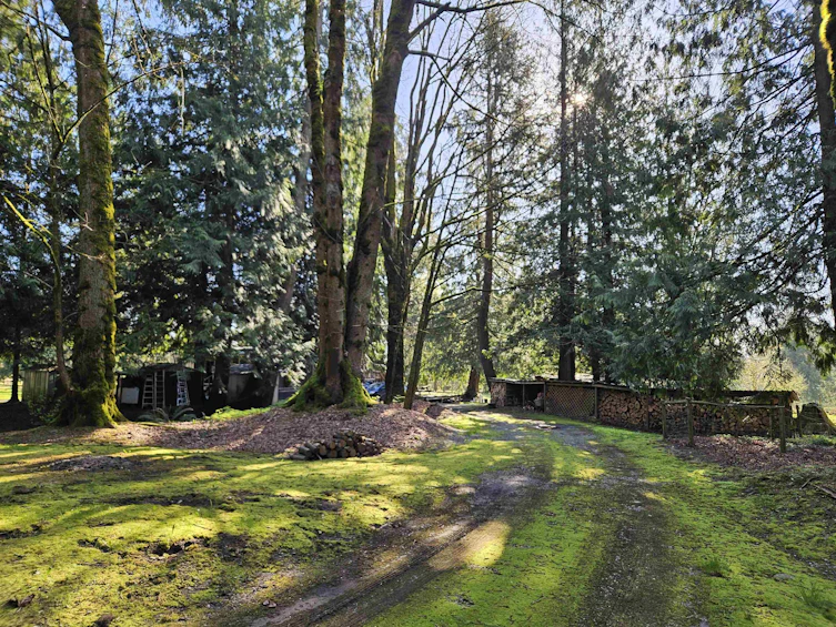 25080 4 Avenue, Langley, BC, V4W 2H3 - 11