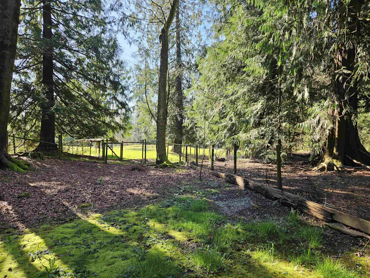 25080 4 Avenue, Langley, BC, V4W 2H3 - 12