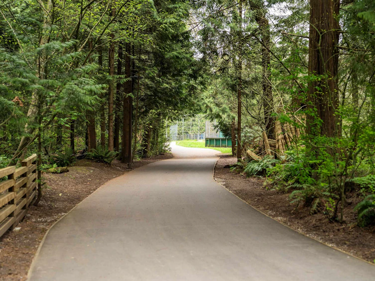 317-2020 Cedar Village Crescent, North Vancouver, BC, V7J 3P5 - 38