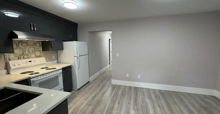 Bsmt-8373 209b Street, Langley, BC, V2Y 4K4 - 3