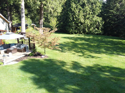 115 Williamsons Landing Road - 3