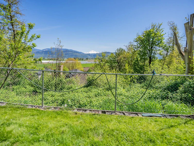 2523 Country Court, Abbotsford, BC, V3G 1M1 - 30
