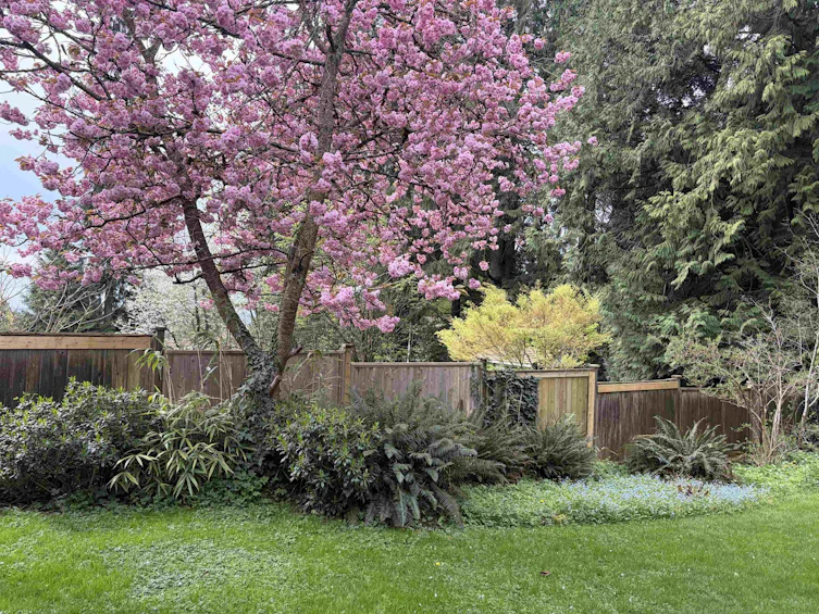 3039 St. Georges Avenue, North Vancouver, BC, V7N 1V1 - 32