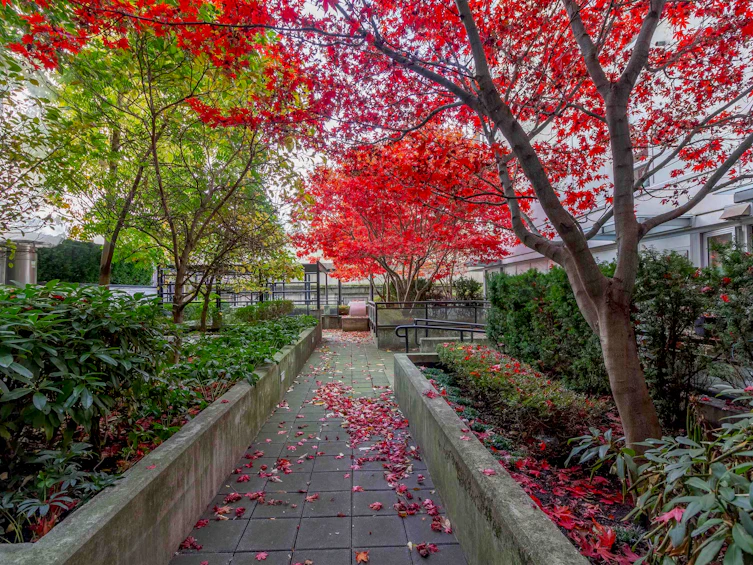 1810-188 Keefer Street, Vancouver, BC, V6A 0E3 - 34