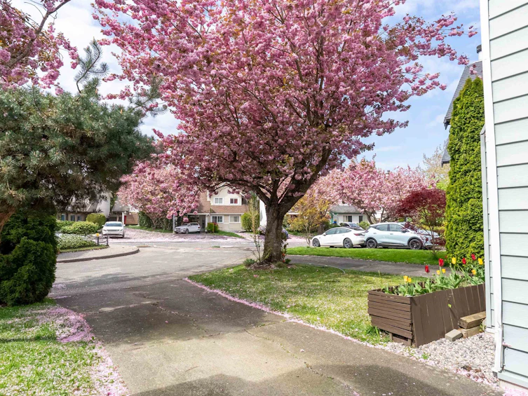 11764 Yoshida Court, Richmond, BC, V7E 5C6 - 23