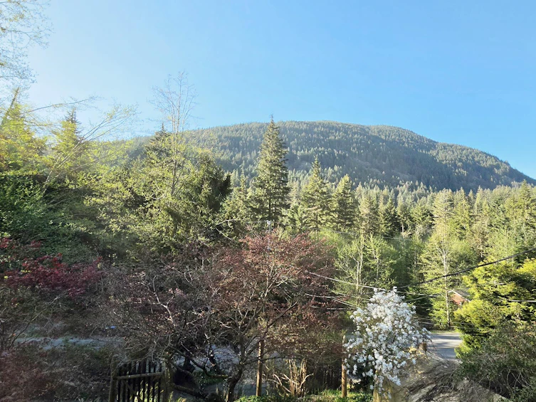 1253 Adams Road, Bowen Island, BC, V0N 1G2 - 37