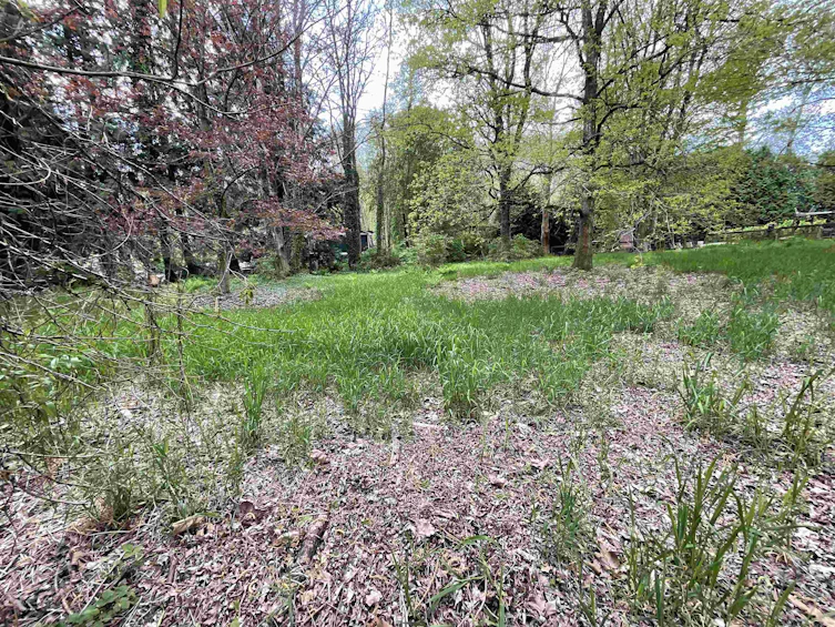 142 Kilby Road, Agassiz, BC, V0M 1L0 - 6