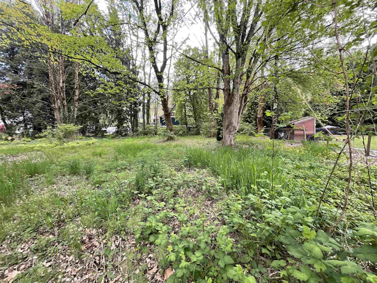 142 Kilby Road, Agassiz, BC, V0M 1L0 - 7