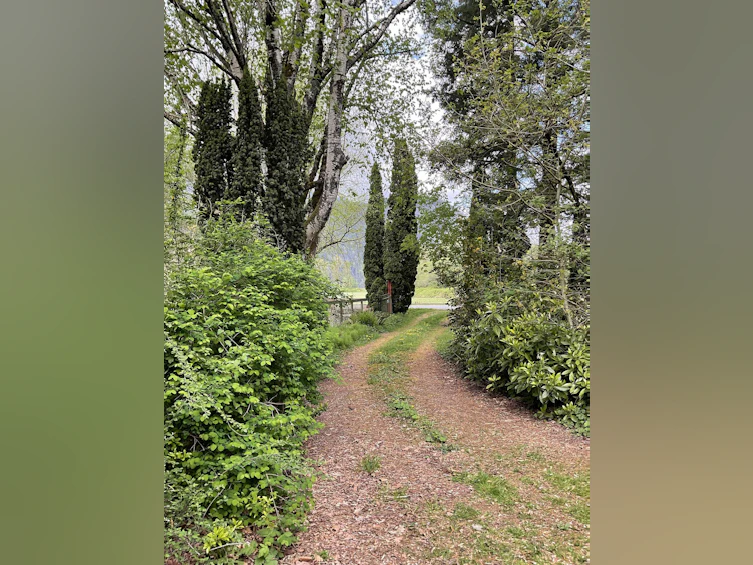 142 Kilby Road, Agassiz, BC, V0M 1L0 - 3