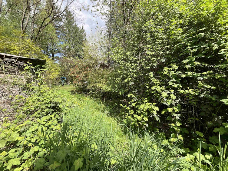 142 Kilby Road, Agassiz, BC, V0M 1L0 - 8