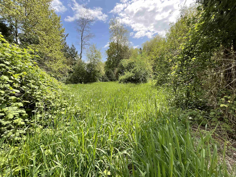 142 Kilby Road, Agassiz, BC, V0M 1L0 - 2