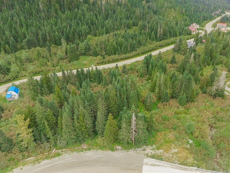 20478 Edelweiss Drive, Mission, BC, V0M 1A1 - 13