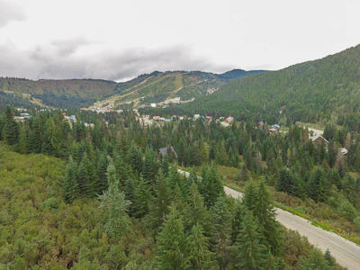 20478 Edelweiss Drive - 5