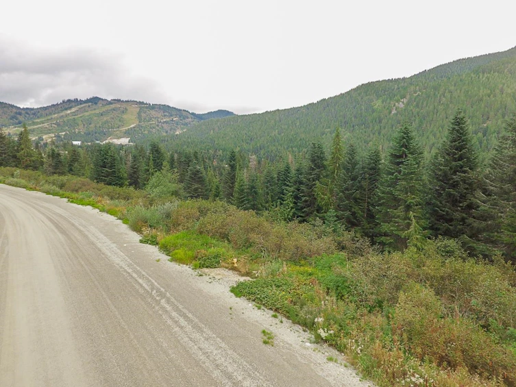 20478 Edelweiss Drive, Mission, BC, V0M 1A1 - 3