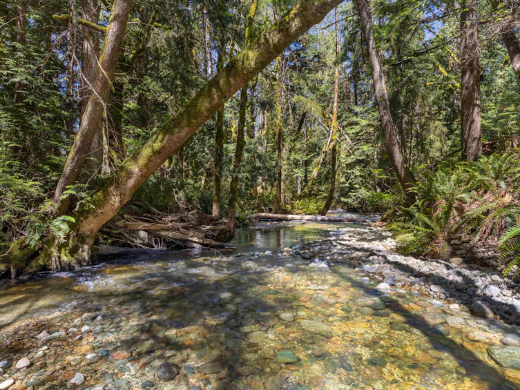 6101 Garden Bay Road, Pender Harbour Egmont, BC, V0N 2H1 - 3