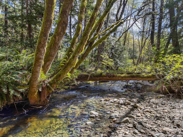 6101 Garden Bay Road, Pender Harbour Egmont, BC, V0N 2H1 - 2