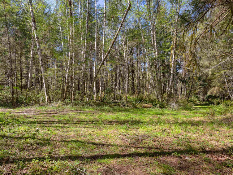 6101 Garden Bay Road, Pender Harbour Egmont, BC, V0N 2H1 - 6