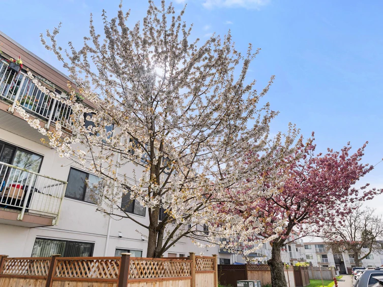 306-7240 Lindsay Road, Richmond, BC, V7C 3M6 - 19