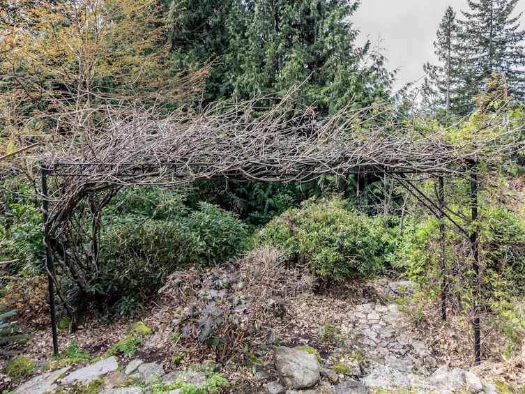 110 Oceanview Place, West Vancouver, BC, V0N 2E0 - 39