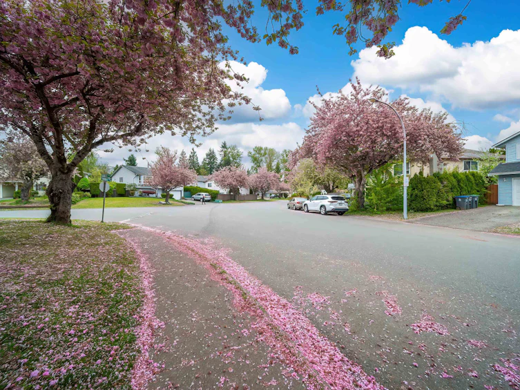 14932 98a Avenue, Surrey, BC, V3R 8H7 - 7