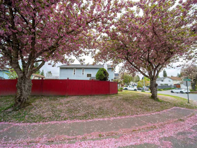 14932 98a Avenue - 5