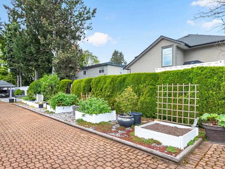 21-11950 Laity Street, Maple Ridge, BC, V2X 5A6 - 30
