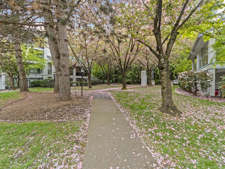 204B-7025 Stride Avenue, Burnaby, BC, V3N 4Y1 - 23