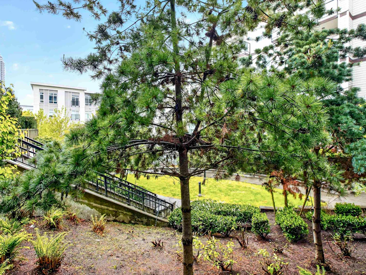 211-13768 108 Avenue, Surrey, BC, V3T 0L9 - 21