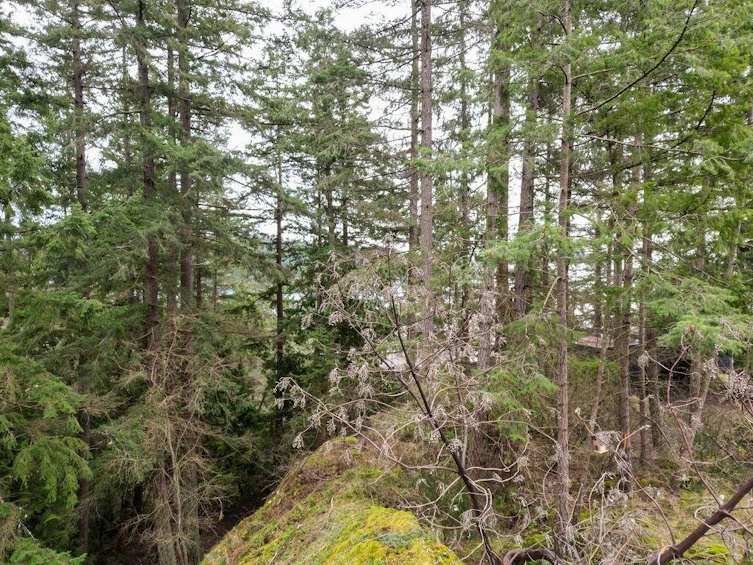 Lot A Skyline Drive, Gibsons, BC, V0N 1V8 - 5