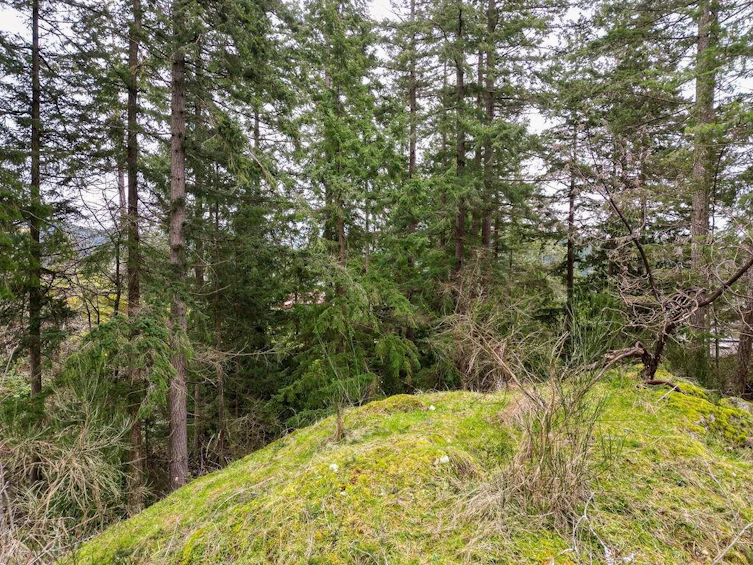 Lot A Skyline Drive, Gibsons, BC, V0N 1V8 - 7