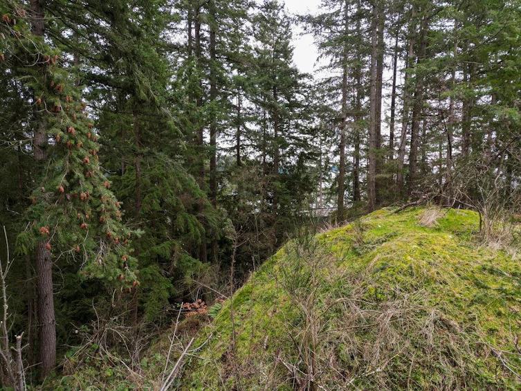 Lot A Skyline Drive, Gibsons, BC, V0N 1V8 - 9