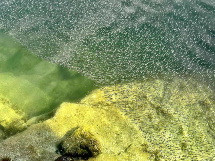 SL 5B Quarry Bay, Nelson Island, BC, V0N 0V0 - 37