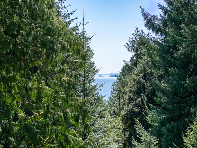 486 Bluff Way, Mayne Island, BC, V0N 2J2 - 16