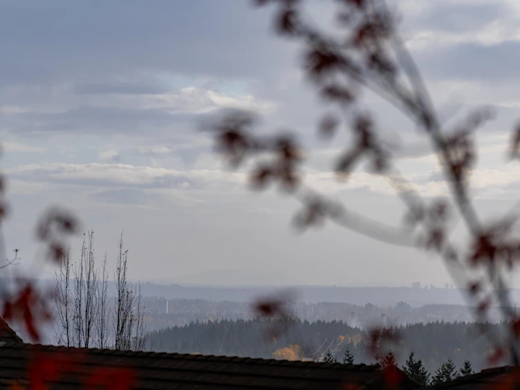 2517 Platinum Lane, Coquitlam, BC, V3E 3L1 - 28