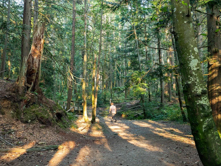 4615 Woodgreen Drive, West Vancouver, BC, V7S 2V4 - 37