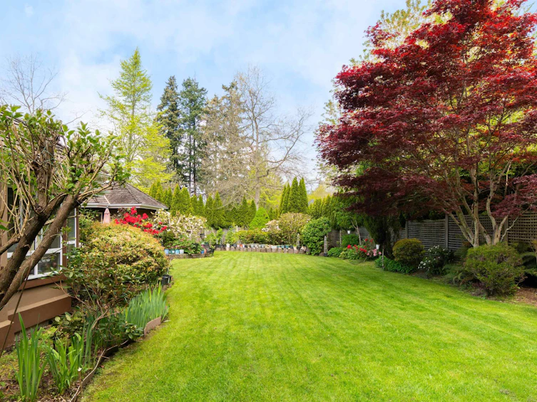 2488 138 Street, Surrey, BC, V4P 2M1 - 30