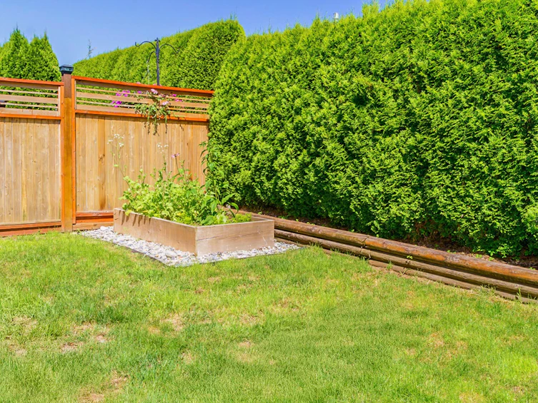 11804 191a Street, Pitt Meadows, BC, V3Y 0A4 - 25