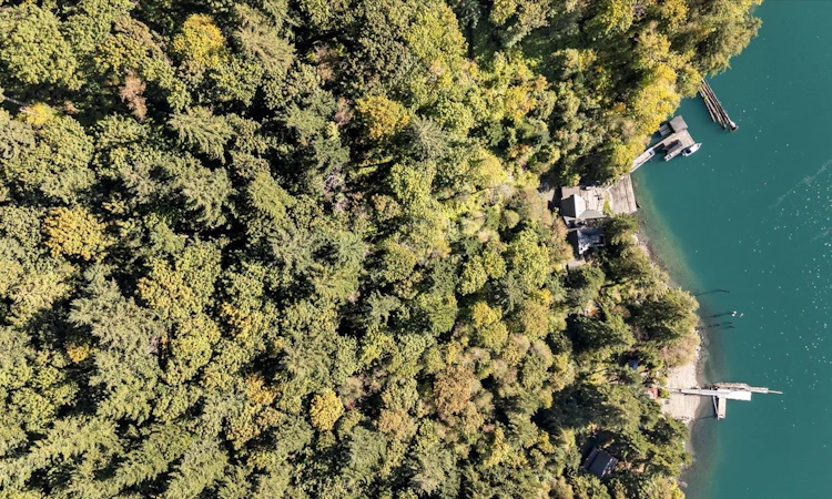 LOT 179 Yale Division Yale District Lake