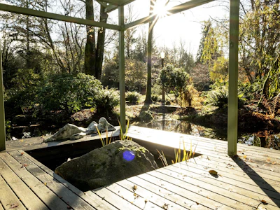 896 Charman Road - 5