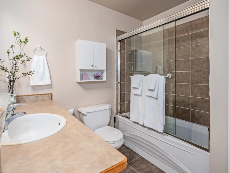 17-11588 232 Street, Maple Ridge, BC, V2X 0J6 - 25
