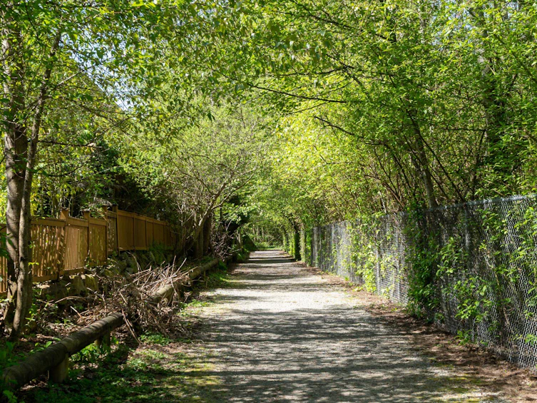 66-3039 156 Street, Surrey, BC, V3Z 6T5 - 27