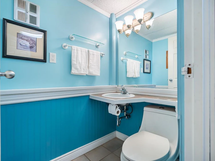 908 Stanton Avenue, Coquitlam, BC, V3J 4V2 - 29
