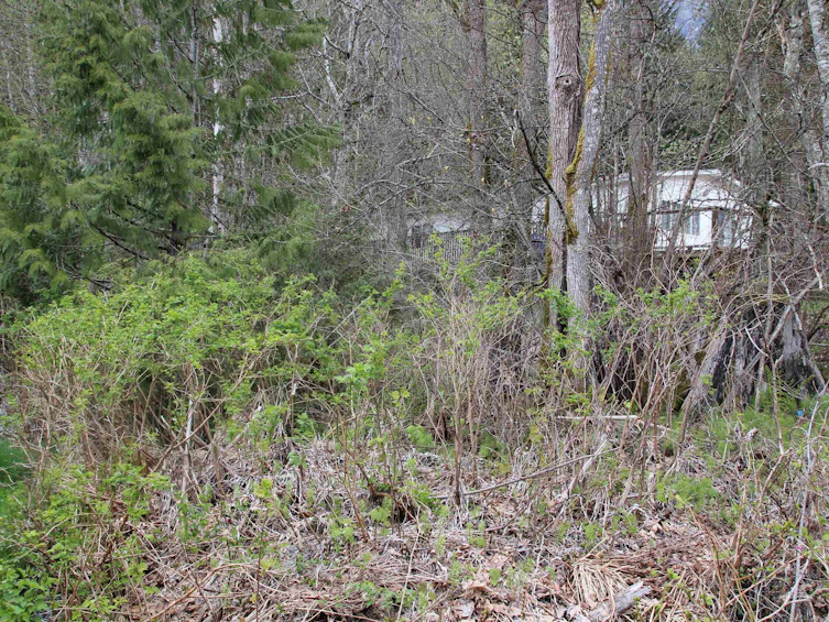 66555 Kereluk Road, Hope, BC, V0X 1L1 - 7