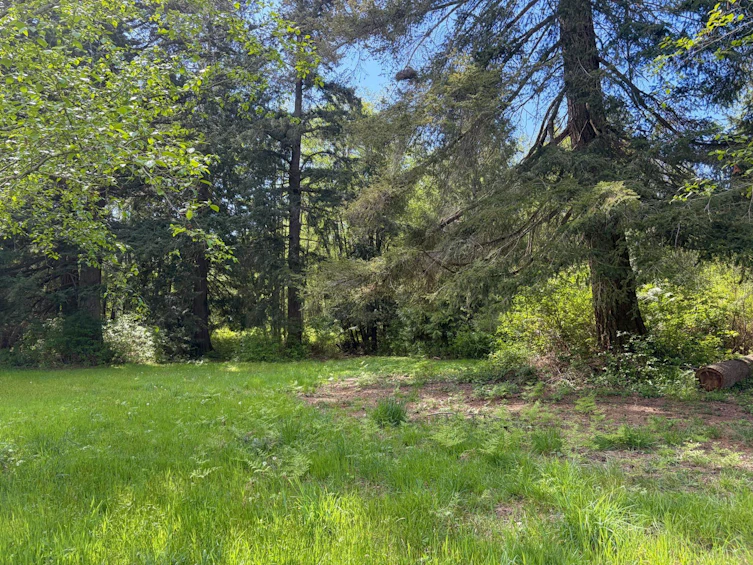 1346 Russell Road, Gibsons, BC, V0N 1V2 - 36