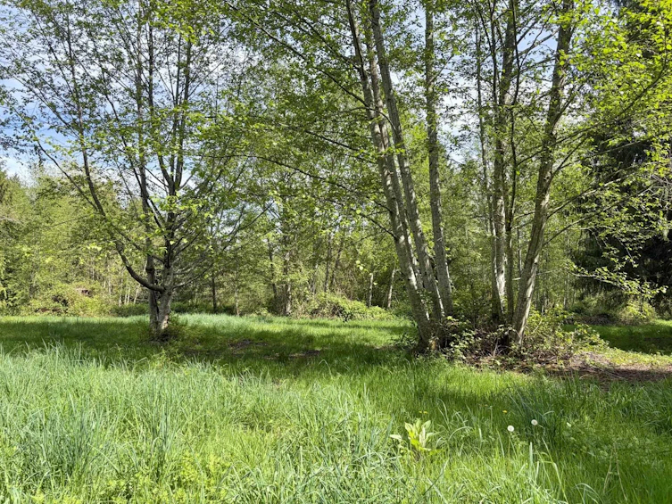 1346 Russell Road, Gibsons, BC, V0N 1V2 - 34