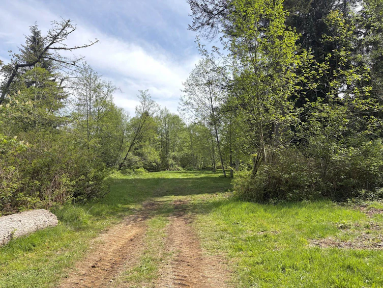 1346 Russell Road, Gibsons, BC, V0N 1V2 - 29