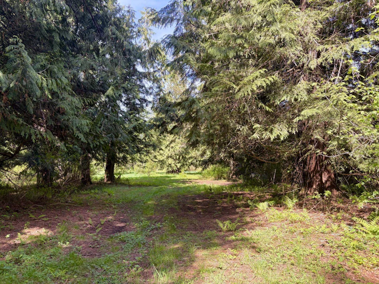 1346 Russell Road, Gibsons, BC, V0N 1V2 - 30