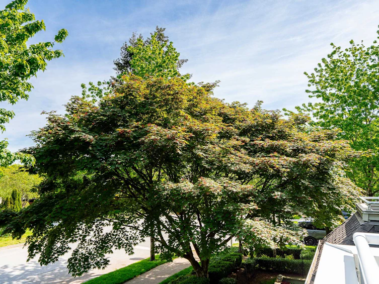 204-3183 Esmond Avenue, Burnaby, BC, V5G 4V6 - 23