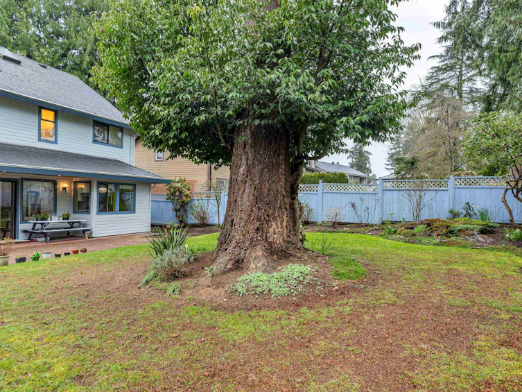 10672 Glenwood Drive, Surrey, BC, V4N 1T6 - 12