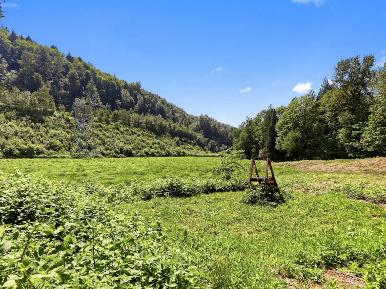 9808 Thompson Road, Chilliwack, BC, V0X 1X1 - 28
